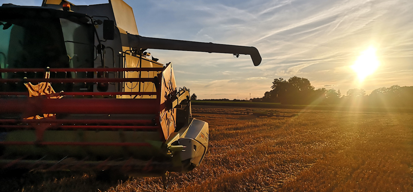 Landwirtschaft